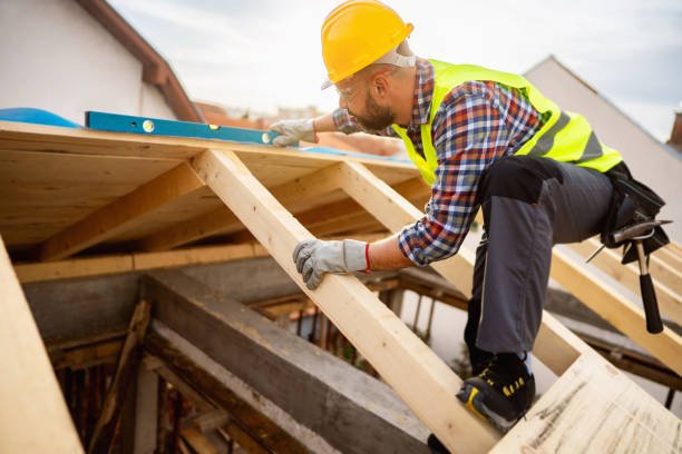Best Roof Gutter Cleaning  in Santa Claus, IN